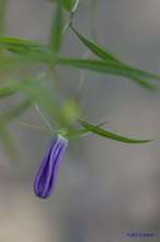 20090402_9090.jpg