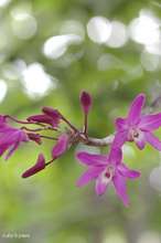 20090424_9937.jpg