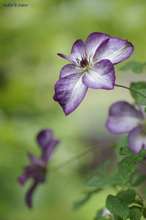 20090516_10457.jpg