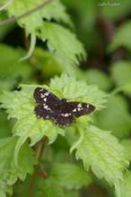 20090607_143.jpg