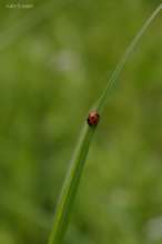 20090607_206.jpg
