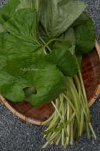 20090609_13887.jpg