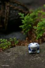 20090613_13928.jpg