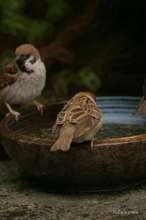 20090613_13932.jpg