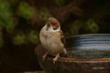 20090613_13942.jpg