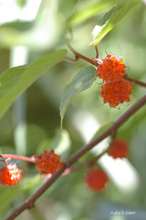 20090620_034.jpg