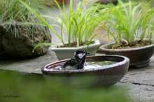 20090621_14134.jpg