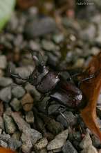 20090624_14141.jpg
