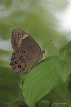 20090628_14247.jpg