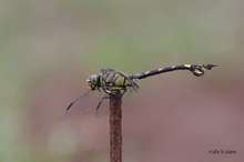 20090702_14401.jpg
