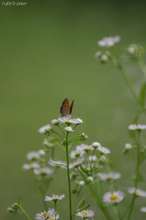 20090712_036.jpg
