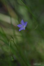 20090718_161.jpg
