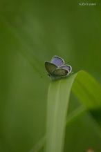 20090801_031.jpg