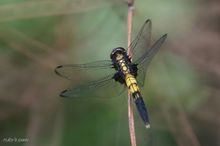 20090801_061.jpg