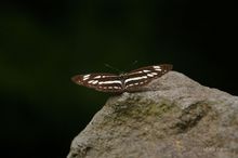 20090801_102.jpg
