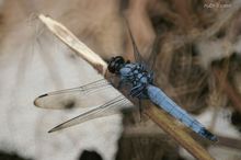 20090801_155.jpg