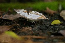 20090801_220.jpg
