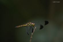 20090802_053.jpg