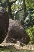 20090802_199.jpg