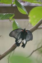 20090809_15090.jpg
