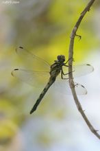 20090809_15100.jpg