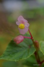 20090816_11396.jpg