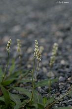 20090816_11401.jpg