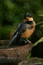 20090819_15259.jpg