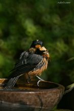 20090819_15298.jpg