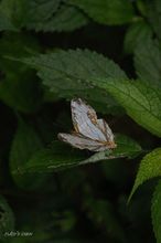 20090823_027.jpg
