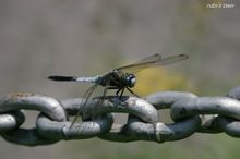 20090823_089.jpg
