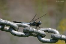 20090823_098.jpg