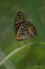 20090823_100.jpg