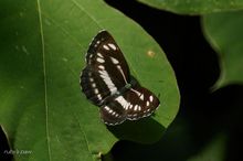 20090823_145.jpg