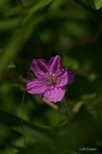 20090823_171.jpg