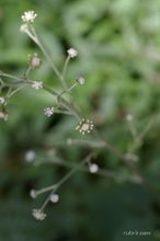 20090823_210.jpg