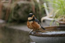 20090828_15409.jpg