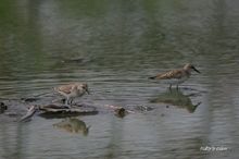 20090830_068.jpg