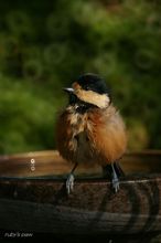 20090830_15416.jpg