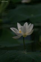 20090830_169.jpg