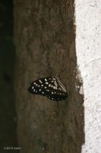 20090906_224.jpg