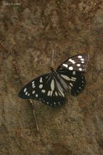 20090906_227.jpg