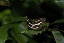 20090906_255.jpg