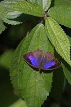 20090906_304.jpg