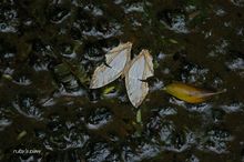 20090906_306.jpg