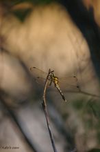 20090909_15527.jpg