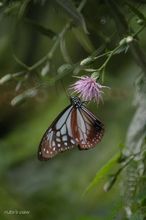 20090913_084.jpg