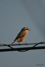 20090913_15611.jpg