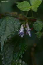 20090913_213.jpg