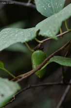 20090913_225.jpg